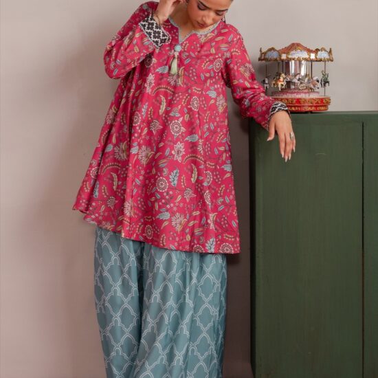Payal Muse Printed Co-ord Set