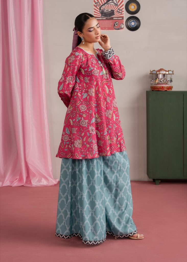 Payal Muse Printed Co-ord Set details